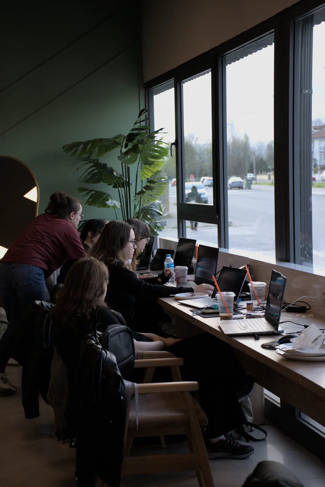 Study Anka Coffee kafe atmosferi