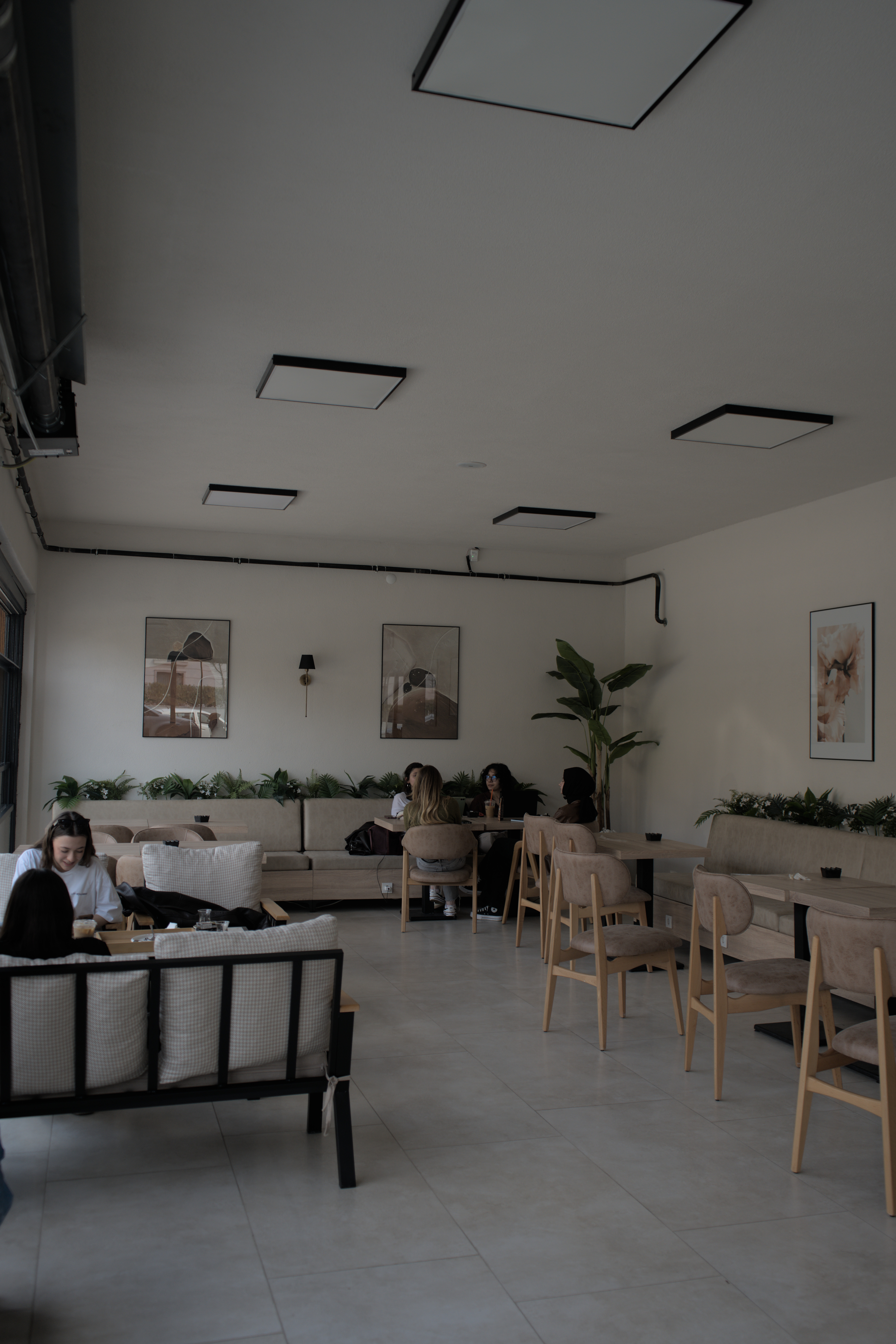Study Anka Coffee kahve sunumu