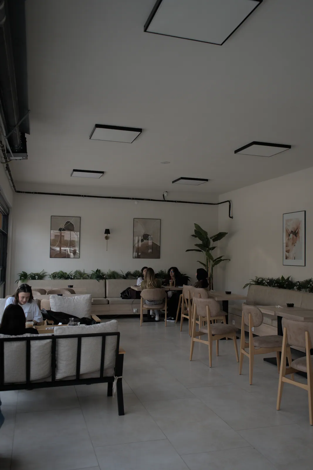 Study Anka Coffee kahve sunumu